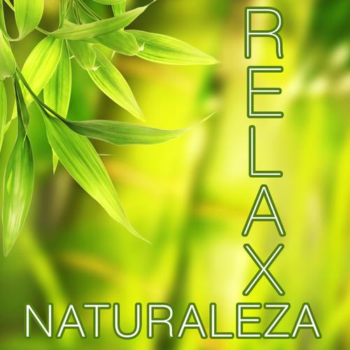 Naturaleza Relax - Las Mejores Músicas Relajantes para Meditación, Clases de Yoga, Reiki, Spa, Salon