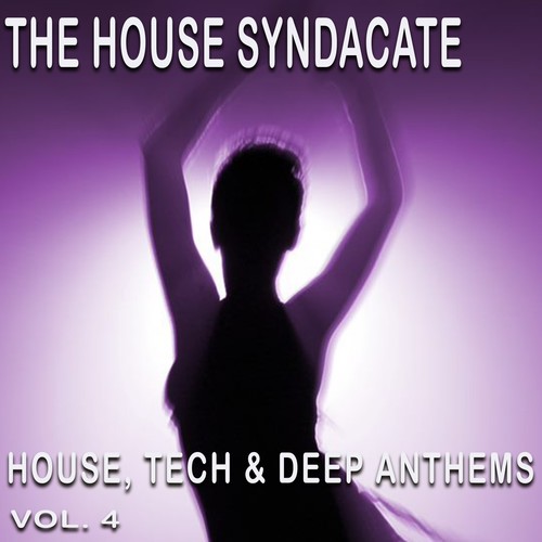 The House Syndacate, Vol. 4