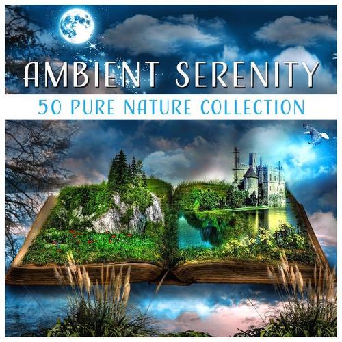 Ambient Serenity: 50 Pure Nature Collection - Soothing Sounds Forest, Sea, Light Rain, Stream, Healing Music for Calm Mind & Deep Rest