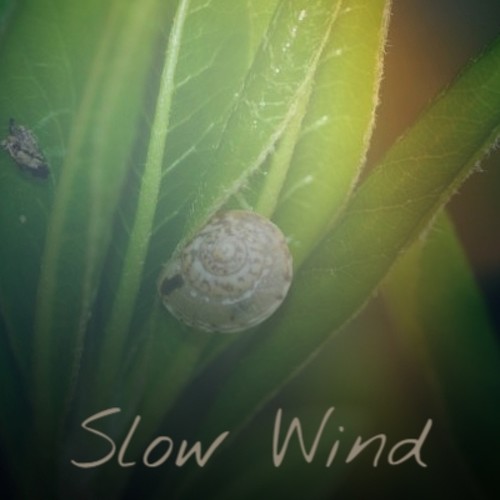 Slow Wind