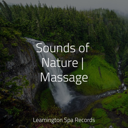 Sounds of Nature | Massage
