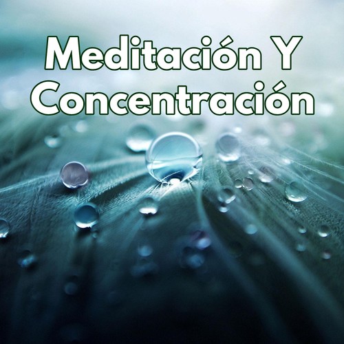 Sonidos De Meditación Y Concentración