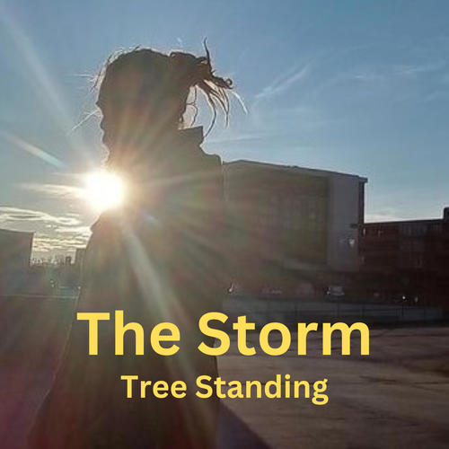 The Storm (Explicit)