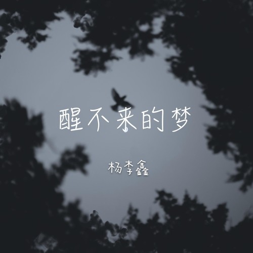 醒不来的梦