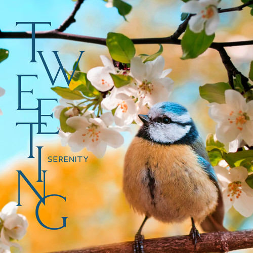 Tweeting Serenity: Beautiful Nature with Birds Chirping for the Ultimate Relaxation