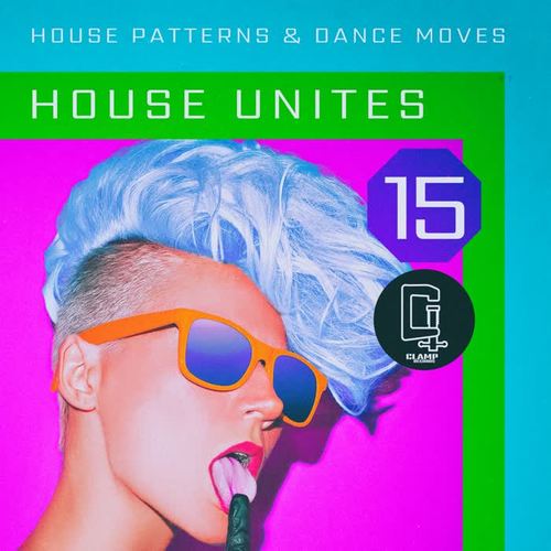 House Unites - Pattern 15