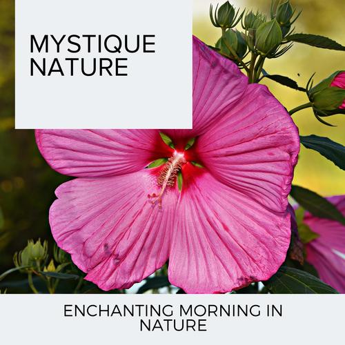 Mystique Nature - Enchanting Morning in Nature