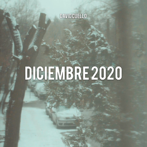 Diciembre 2020