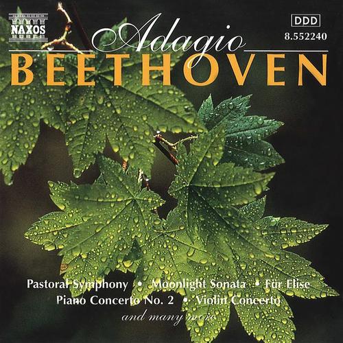 BEETHOVEN: Adagio