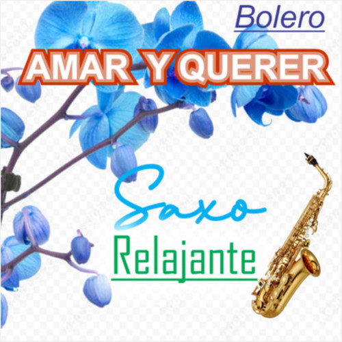 Bolero/Amar Y Querer