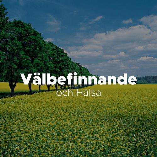 Välbefinnande och Hälsa: Meditationsmusik