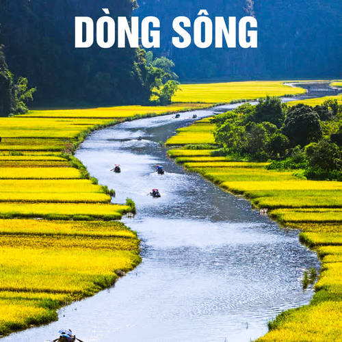 Dòng sông