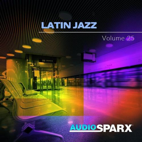 Latin Jazz Volume 25