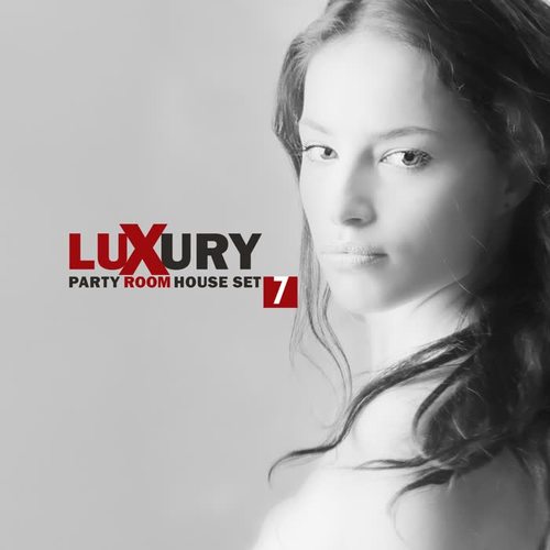 Luxury Party Room - House Set 7