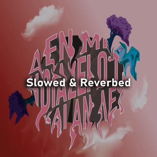 Den me noiazei oti kai an les (feat. Black Vybez & Mihalis Megaloudis) [Slowed & Reverbed instrumental]
