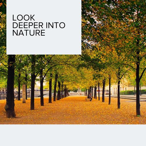 Look Deeper into Nature