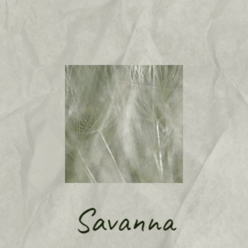 Savanna