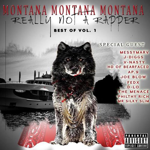 Really Not A Rapper (Best Of Vol. 1)