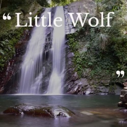 Little Wolf