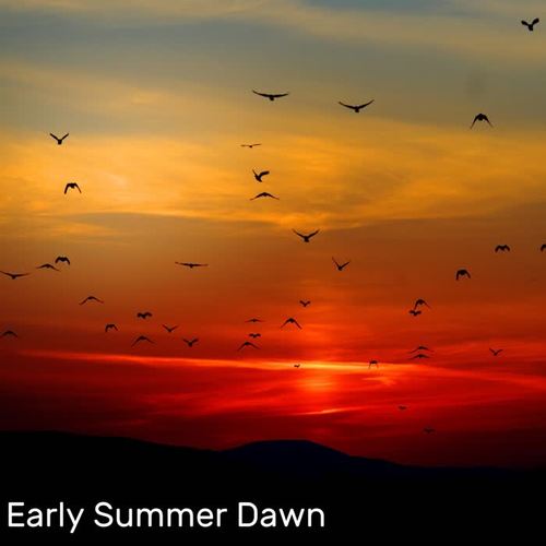 Early Summer Dawn