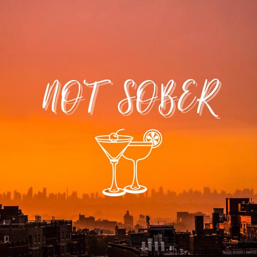 Not Sober (feat. LüvKam) [Explicit]