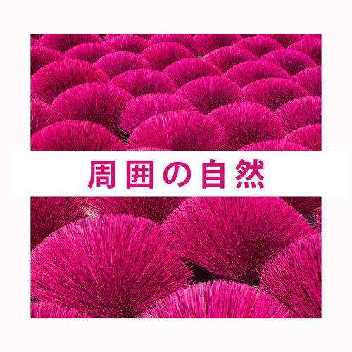 周囲の自然: リラクゼーション、ヨガ、睡眠、瞑想のために