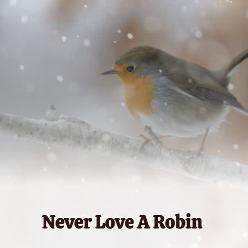 Never Love a Robin