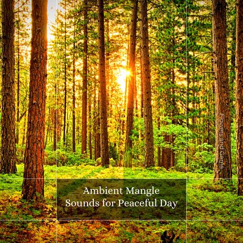 Ambient Mangle Sounds For Peaceful Day