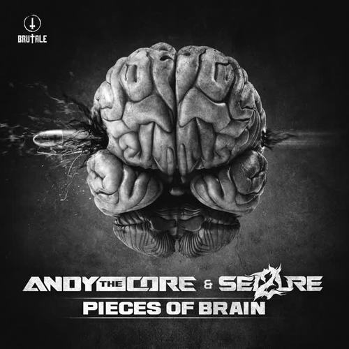 Pieces of brain (Explicit)