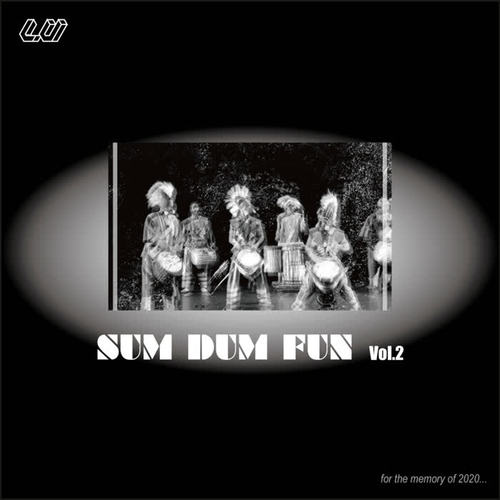 Sum Dum Fun VOL.2