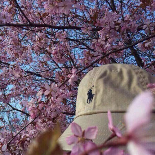 嫂子摇
