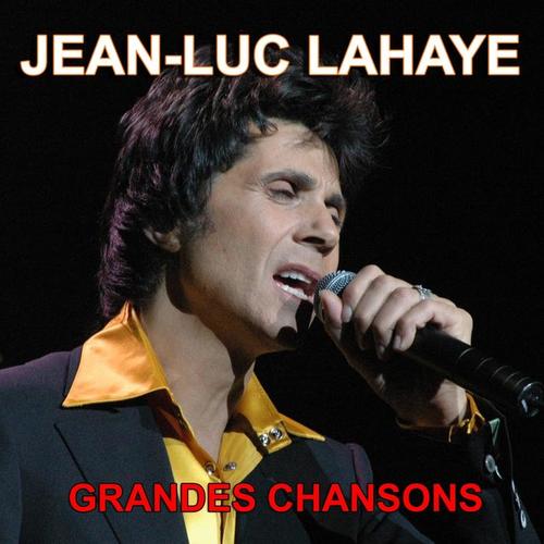 Grandes chansons (Ses plus grands succès)