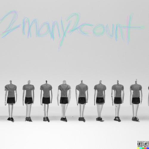 2MANY2COUNT (Explicit)