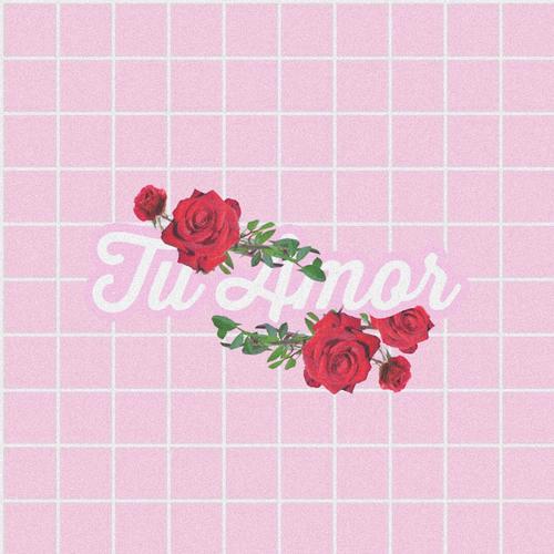 Tu Amor (feat. Solet)