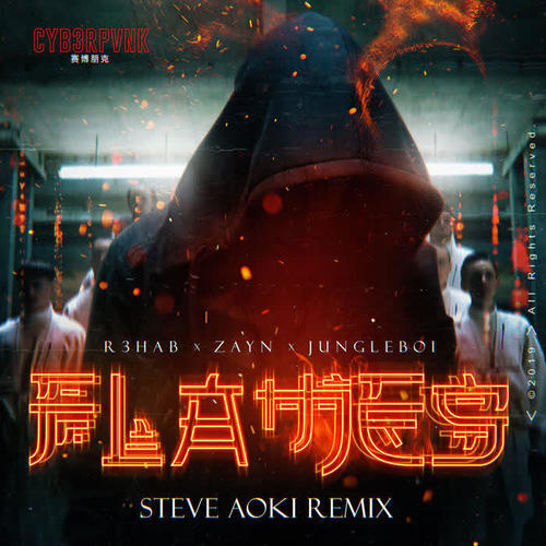 Flames (Steve Aoki Remix)