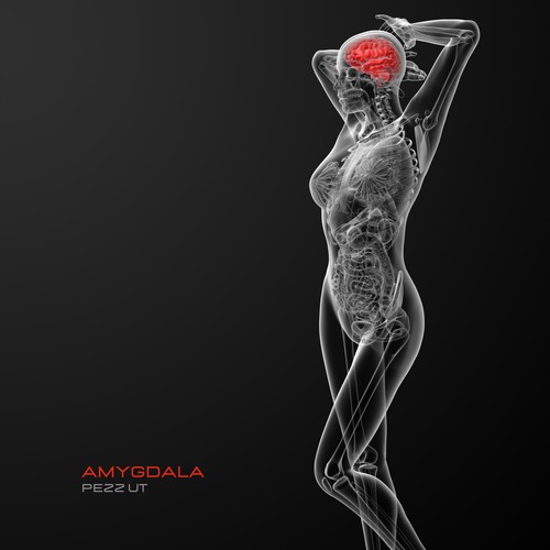 Amygdala