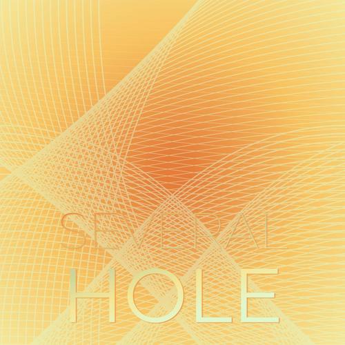 Several Hole