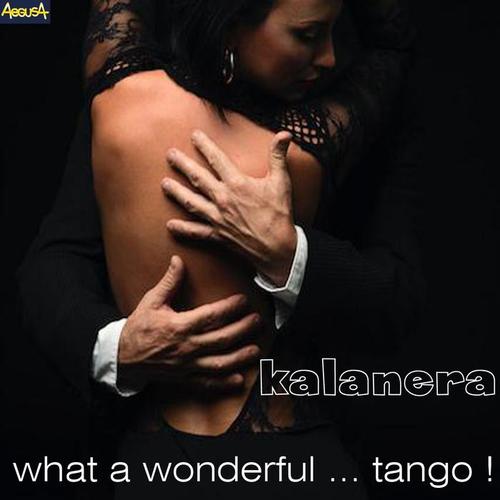 What a wonderful... Tango!!