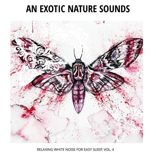 An Exotic Nature Sounds - Relaxing White Noise for Easy Sleep, Vol. 4