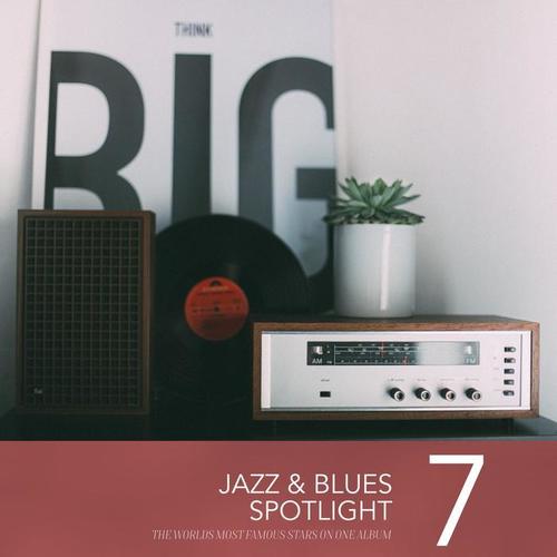 Jazz & Blues Spotlight, Vol. 7