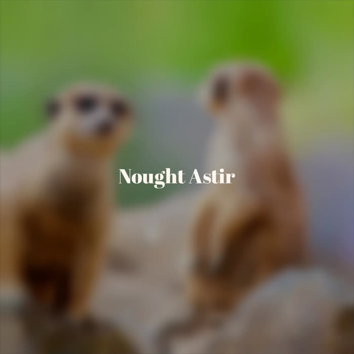 Nought Astir