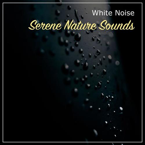 13 Serene White Noise and Nature Sounds