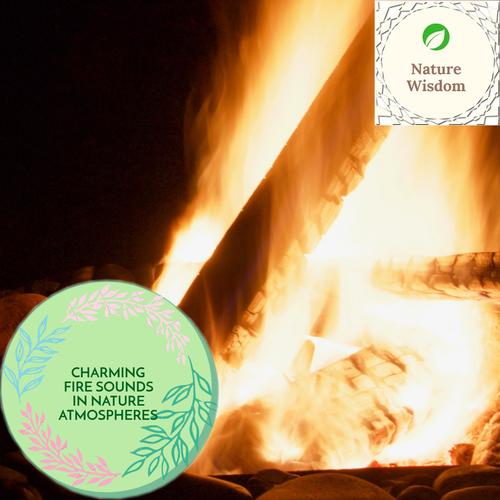 Charming Fire Sounds in Nature Atmospheres