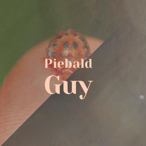 Piebald Guy