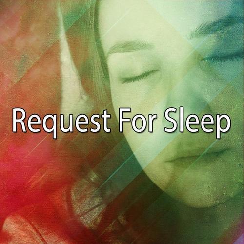 Request For Sleep