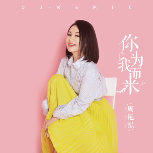 你为我而来 (DJ Remix)