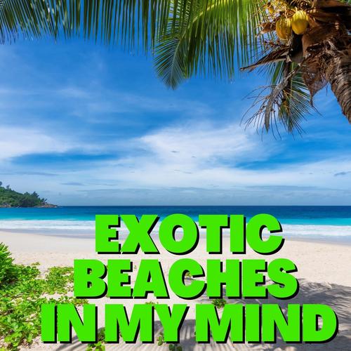 Exotic Beaches in My Mind