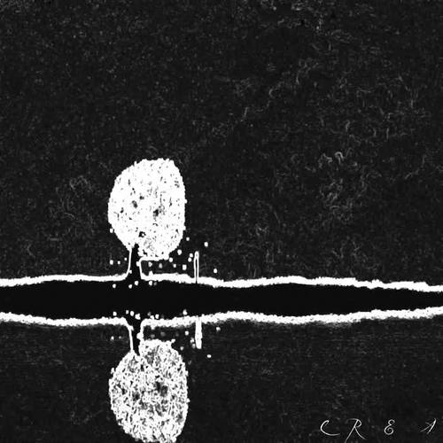 276 (Explicit)