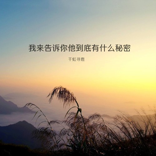 我来告诉你他到底有什么秘密