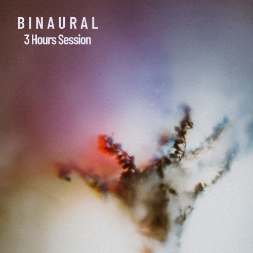 Binaural: 3 Hours Session, Sex Touch